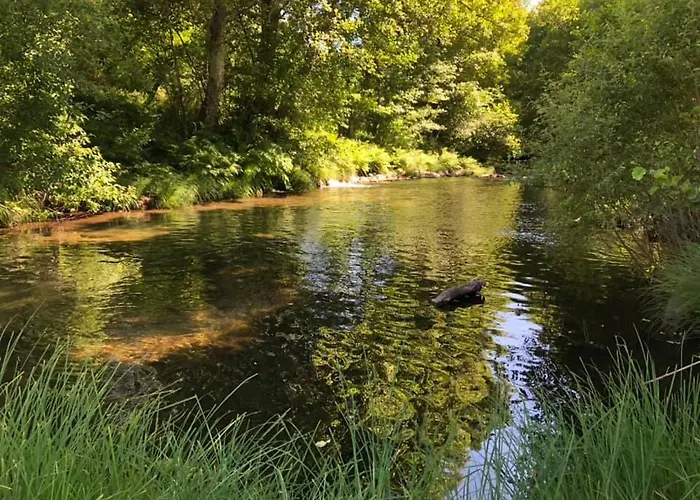 مزرعة للإقامة Casa De Xisto Santo Antonio *